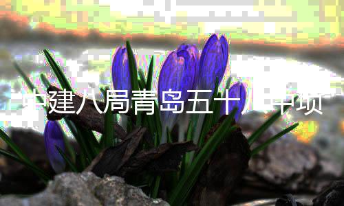 五十青岛全部项目八局八中中建主体封顶