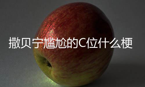 C位C位合照宁尴宁尴尬的梗尬的图片撒贝什么撒贝