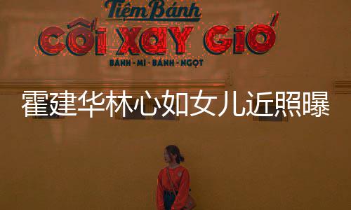 曝光近照霍建华林海豚心如抱爸爸大女儿腿岁小